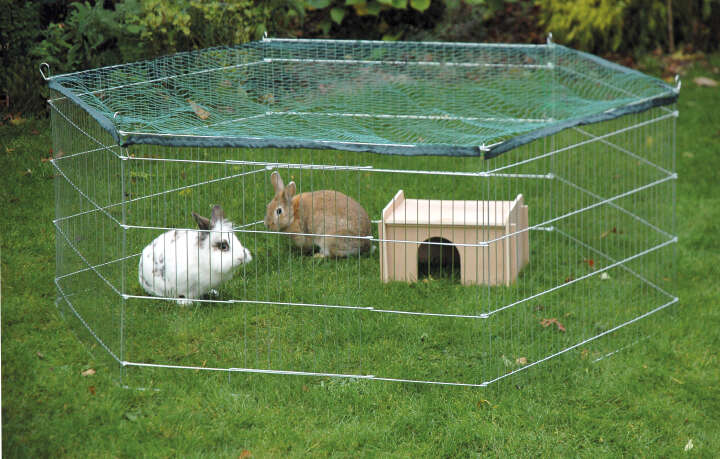 dobar Freilaufgehege